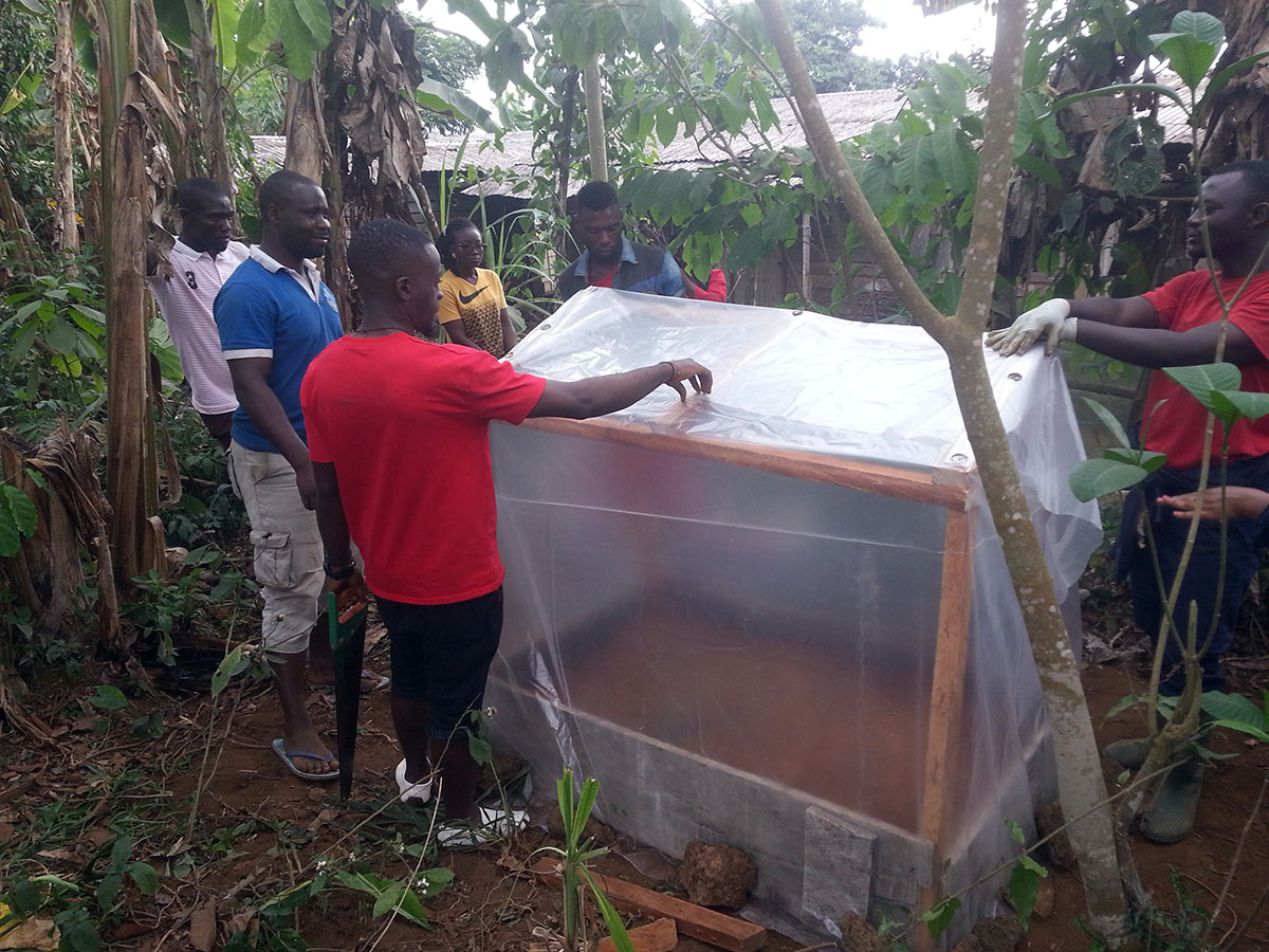 Constructing a propagator to raise plantain plantlets
