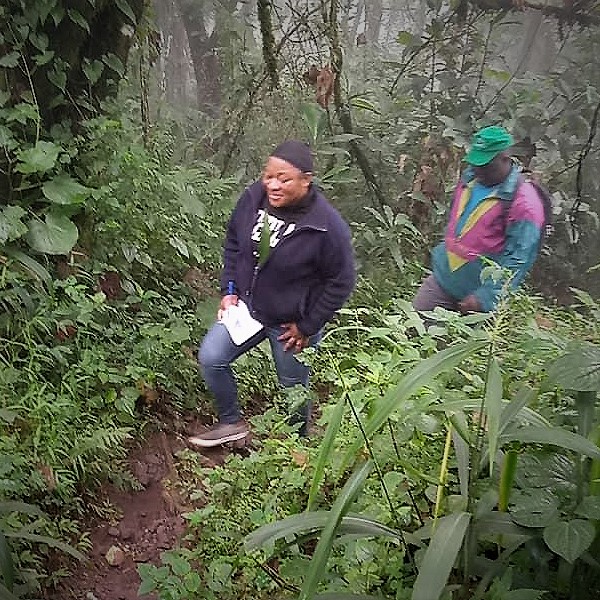 Exploring for renewable natural resources on Mount Fako (Mt. Cameroon)