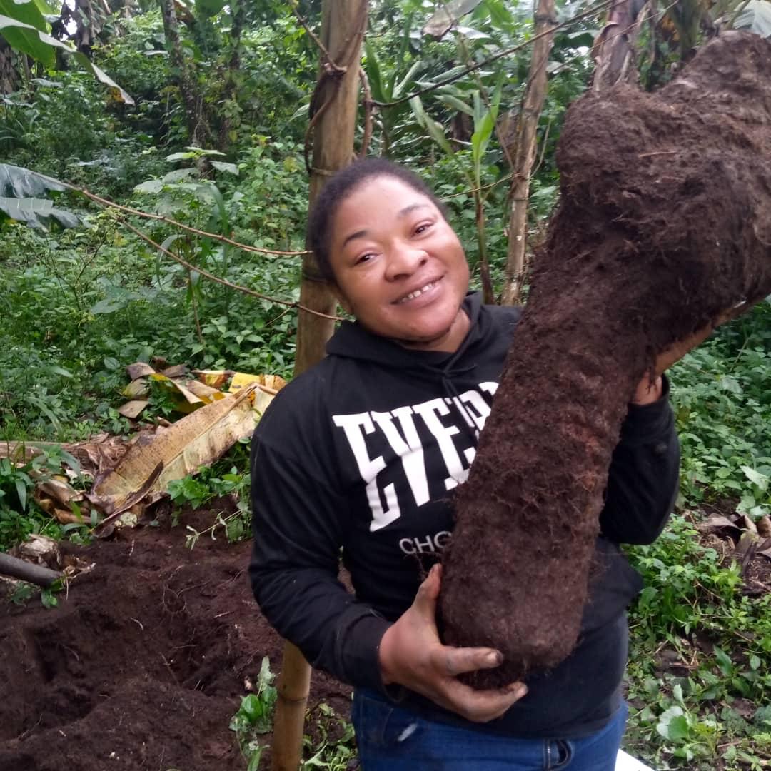 Ms. Egnalyn NGWE with organically cultivated yam