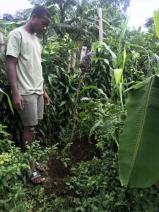 A man looks at a small plant he has just planted in the ground.