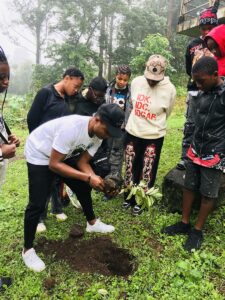 A man plants a small tree in a hole as a number of young people look on.