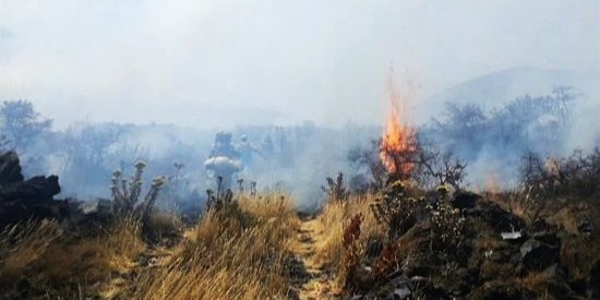 Bushfire in Mount Cameroon National Park
